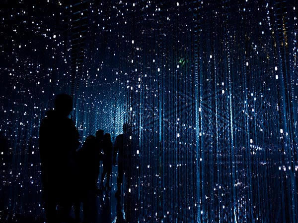 Libero Enim Sedfaucibus Turpis Magna Fermentum Justoeget Robynne Hu HOrhCnQsxnQ Unsplash